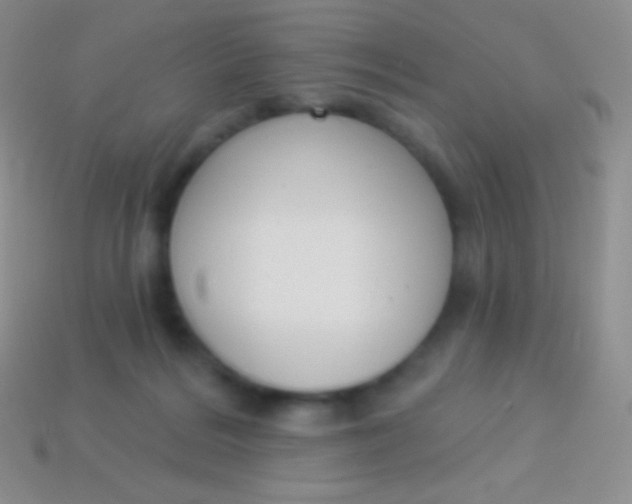 X0000114240220200910231531
