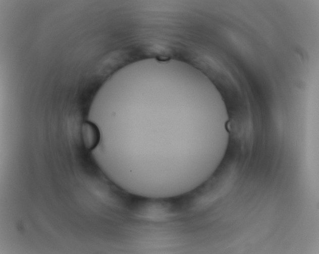 X0000114240223200910231530