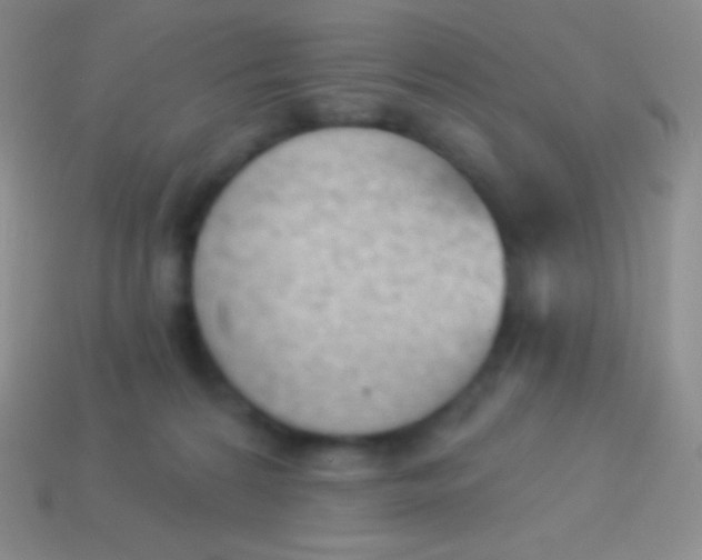 X0000114240224200910231530