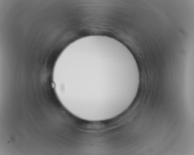 X0000114240225200910231530