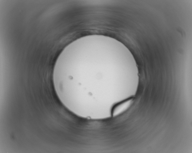 X0000114240233200910231530