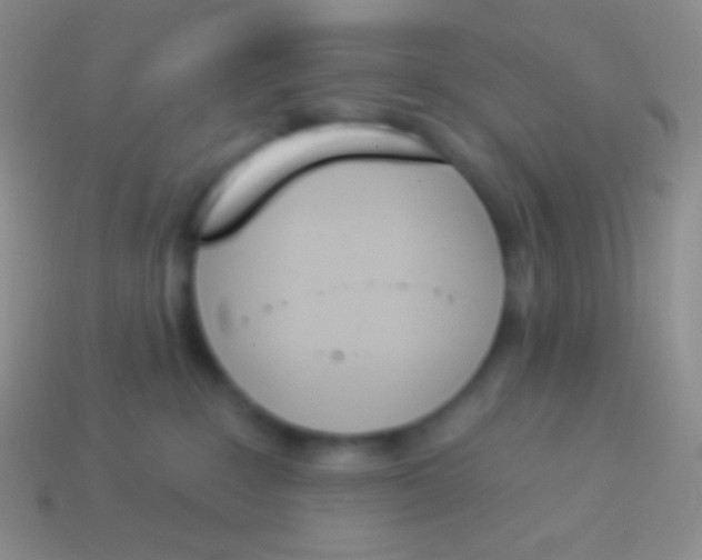 X0000114240235200910231530