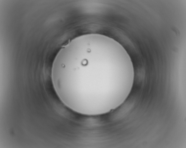 X0000114240236200910231530