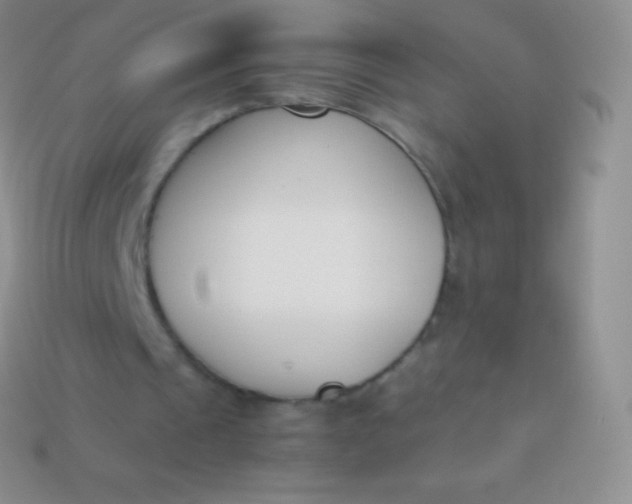X0000114240241200910231530
