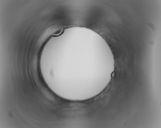 X0000114240242200910231530
