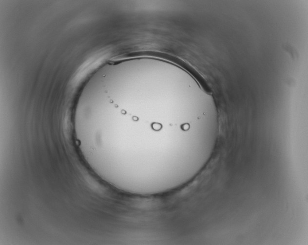 X0000114240245200910231530