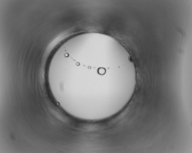 X0000114240246200910231530