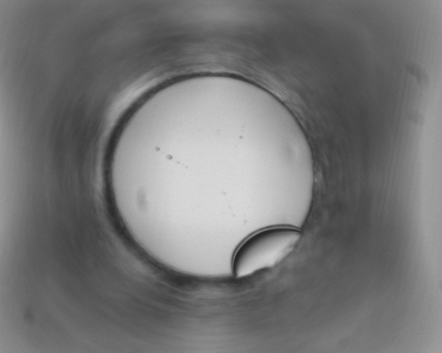 X0000114240248200910231530
