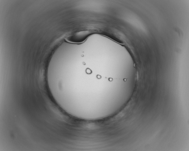 X0000114240249200910231530