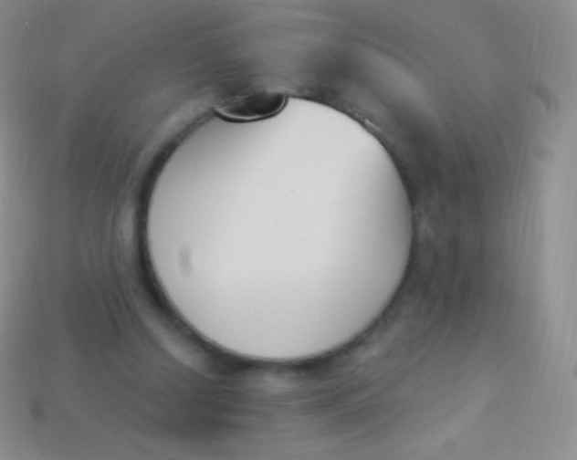 X0000114240250200910231530