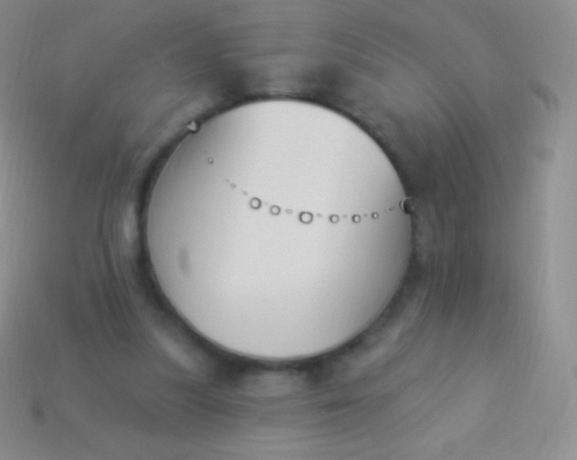 X0000114240251200910231530