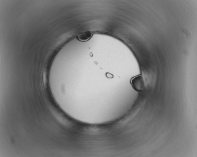 X0000114240253200910231530