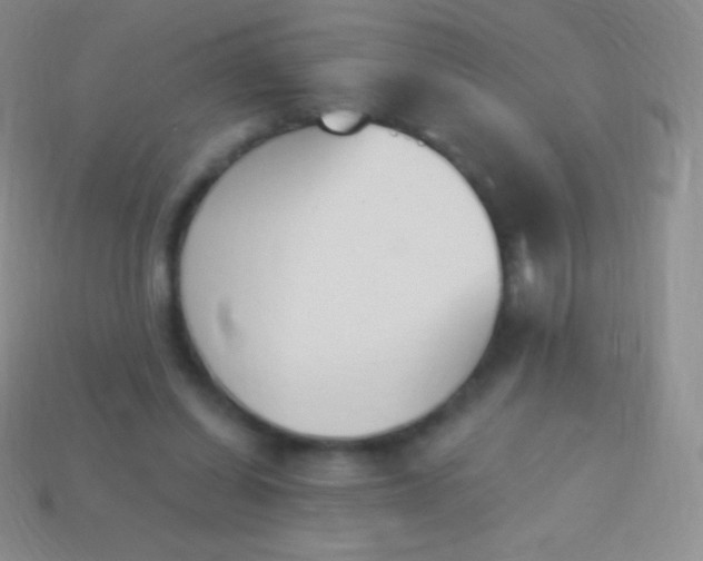 X0000114240254200910231530