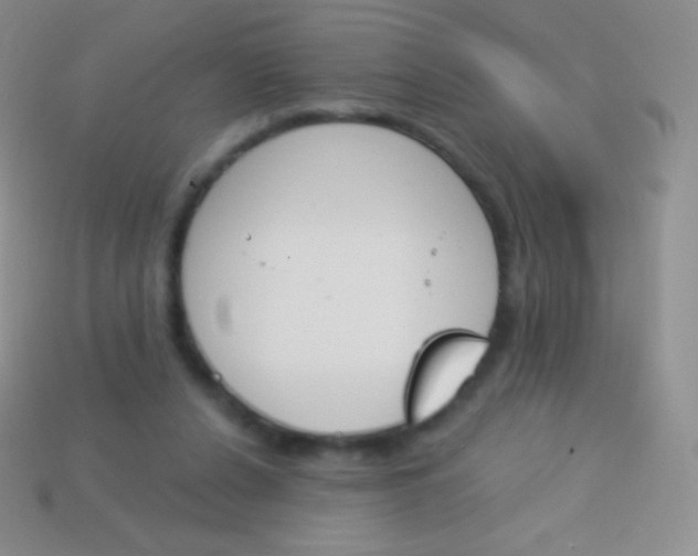 X0000114240256200910231530