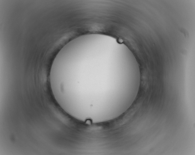 X0000114240257200910231530