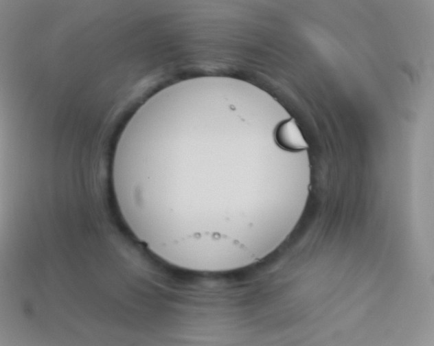 X0000114240260200910231530