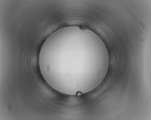 X0000114240261200910231530