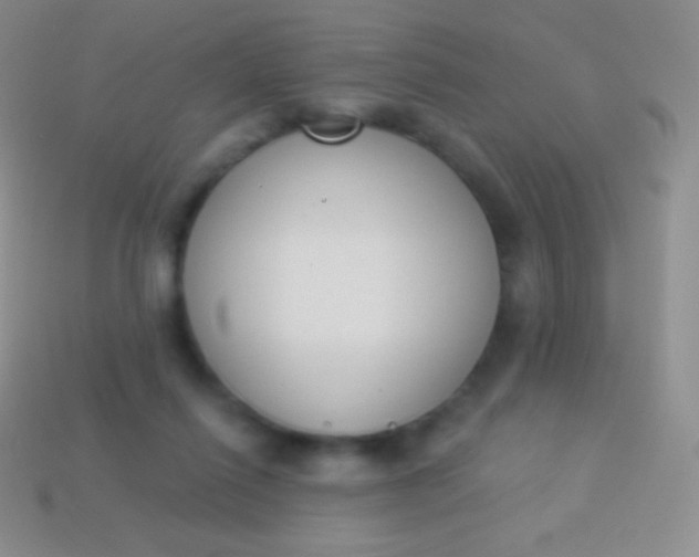 X0000114240262200910231530