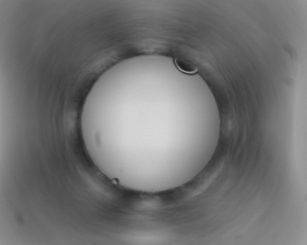 X0000114240263200910231530