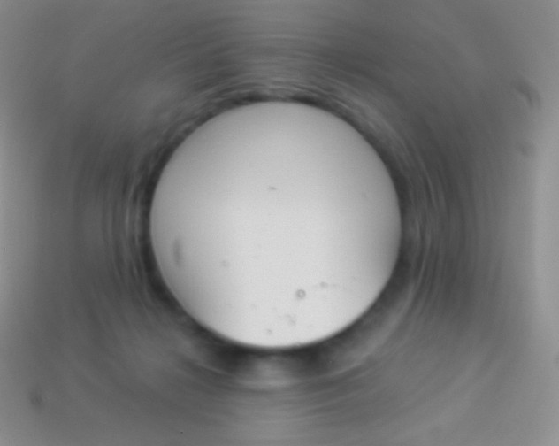 X0000114240268200910231530