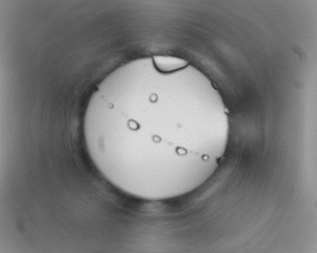 X0000114240269200910231530