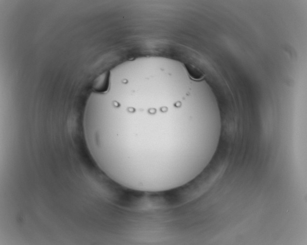X0000114240270200910231530