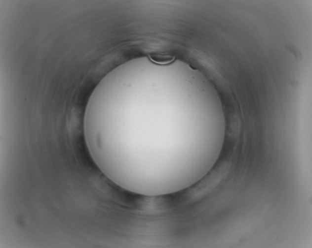 X0000114240273200910231530