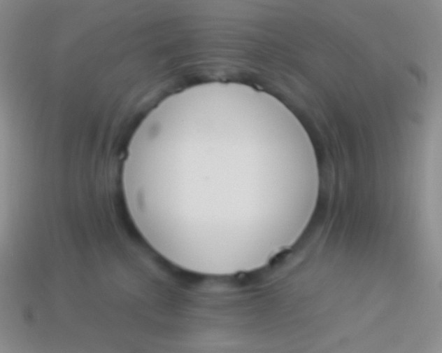 X0000114240280200910231530