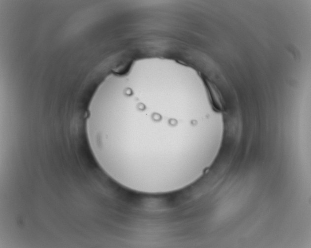 X0000114240283200910231530
