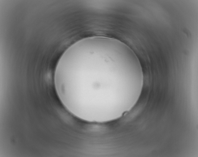 X0000114240286200910231530