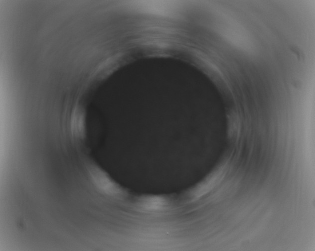 X0000114240287200910231530