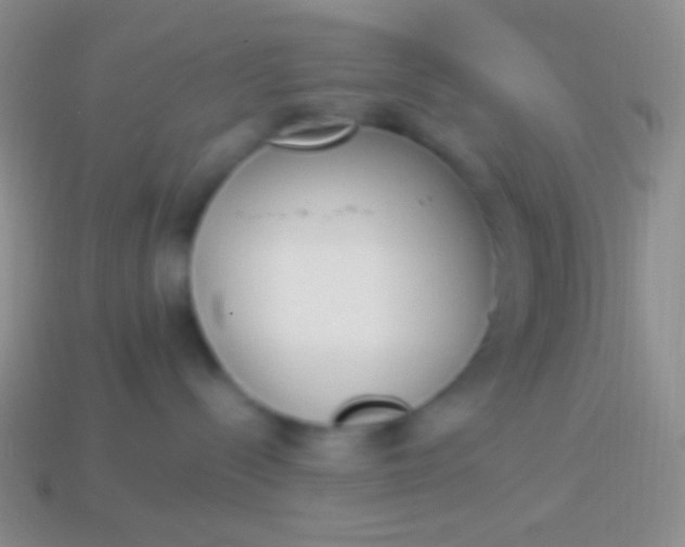 X0000114240288200910231530