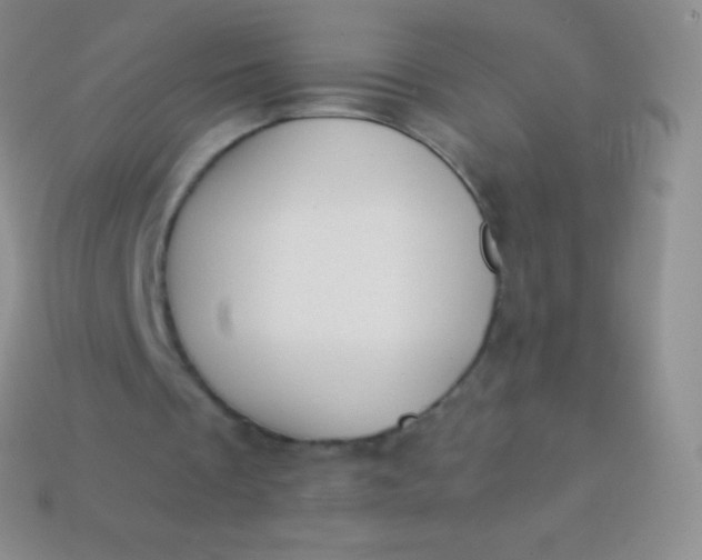 X0000114240289200910231530