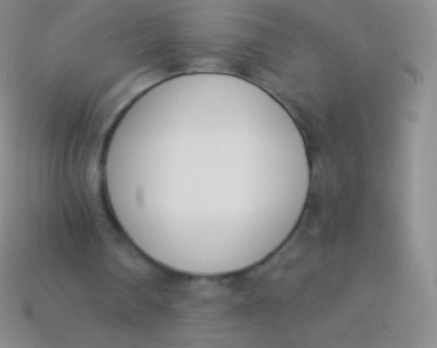 X0000114240290200910231530