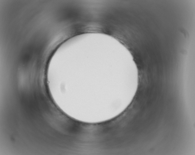 X0000114240293200910231530