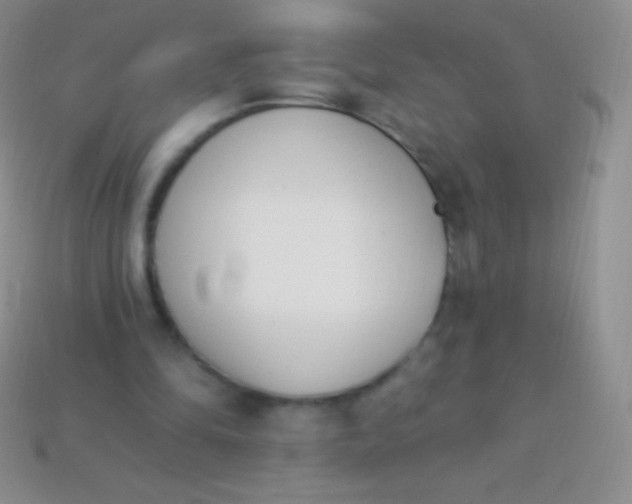 X0000114240294200910231530
