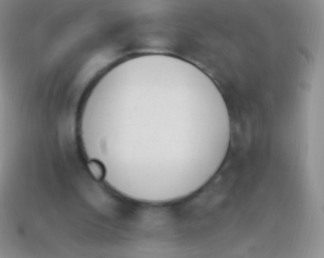 X0000114240296200910231530