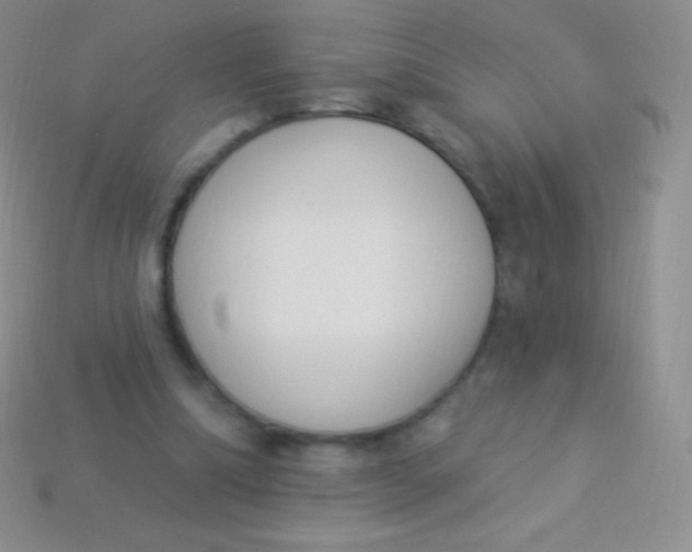 X0000114240298200910231530