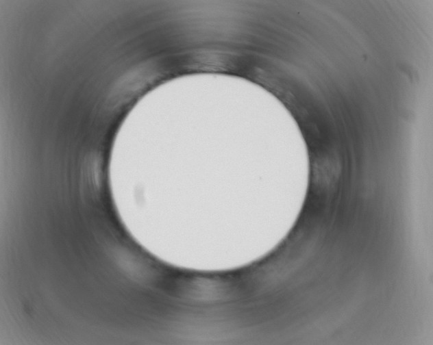X0000114240302200910231529