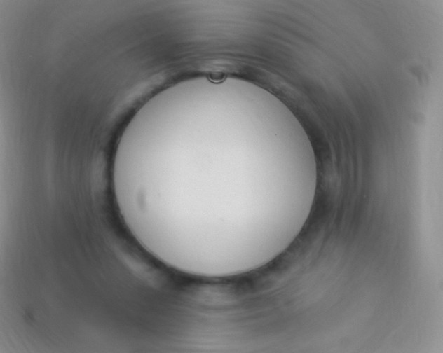 X0000114240303200910231529