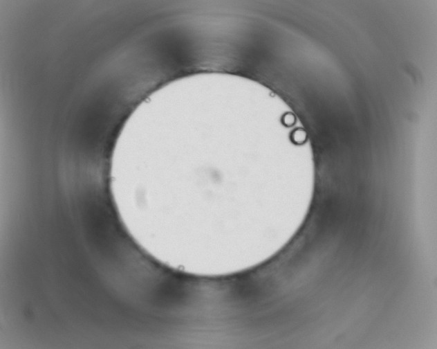 X0000114240305200910231529