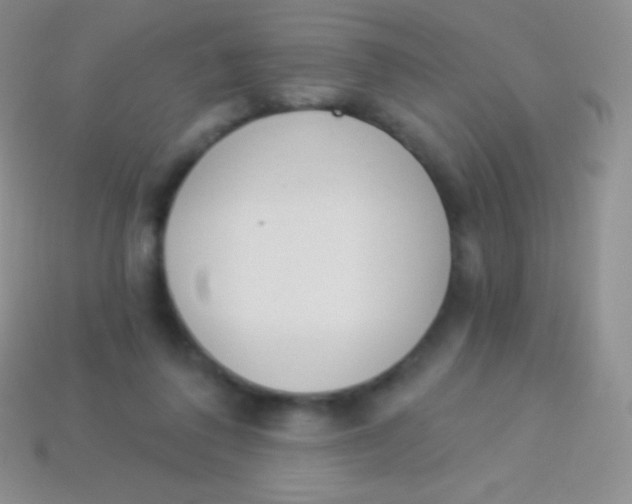 X0000114240308200910231529