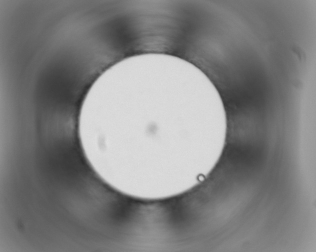 X0000114240309200910231529