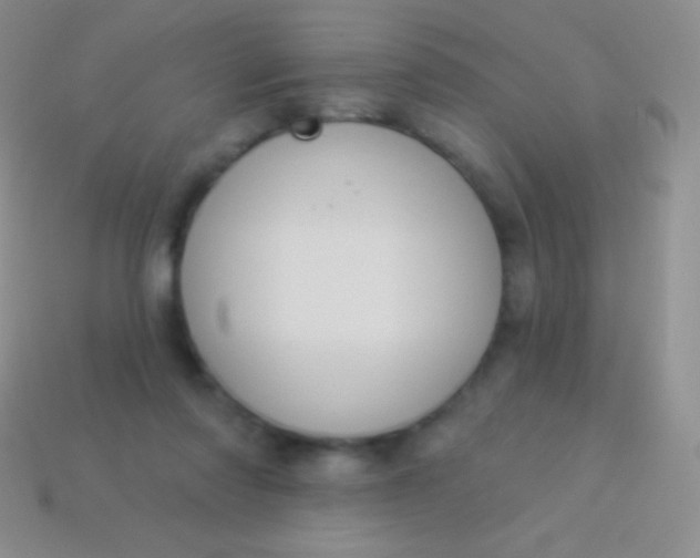 X0000114240310200910231529