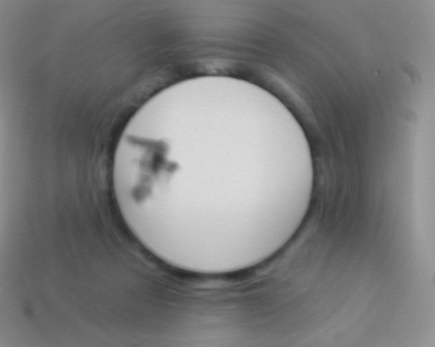 X0000114240313200910231529