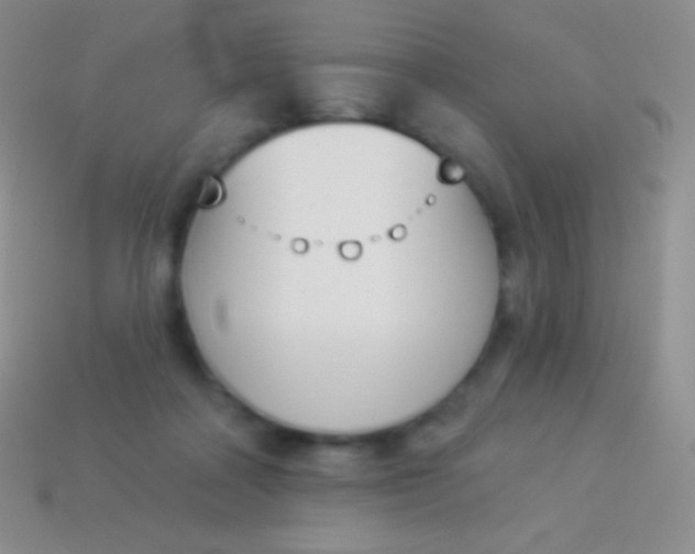 X0000114240314200910231529