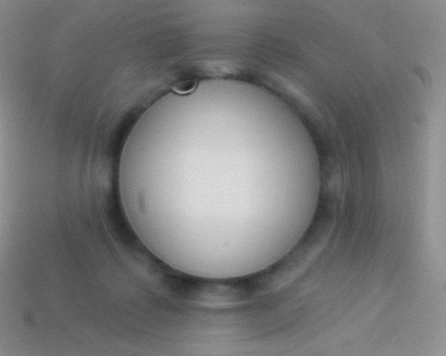 X0000114240315200910231529