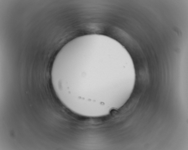 X0000114240320200910231529