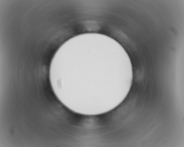 X0000114240321200910231529