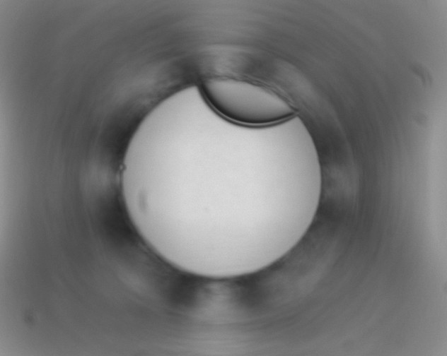 X0000114240324200910231529